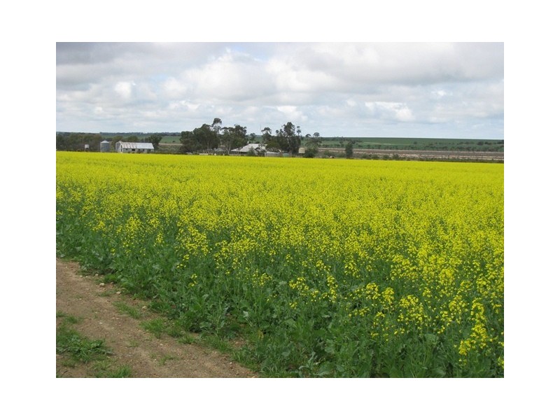 ‘Annean Farm’, Ballidu WA 6606