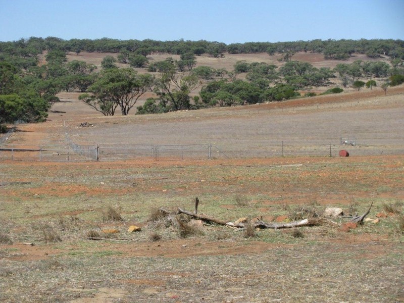 Lot 52 Yearalia Road, Barberton WA 6510