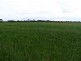 ‘Norms’ Badger Road, Pingrup WA 6343
