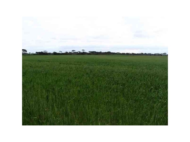 ‘Norms’ Badger Road, Pingrup WA 6343