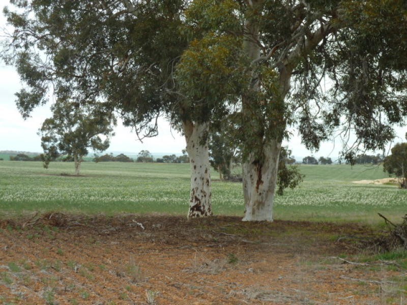 Lot 7875 Kokeby East Road, Beverley WA 6304
