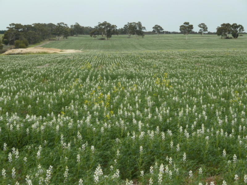 Lot 7875 Kokeby East Road, Beverley WA 6304