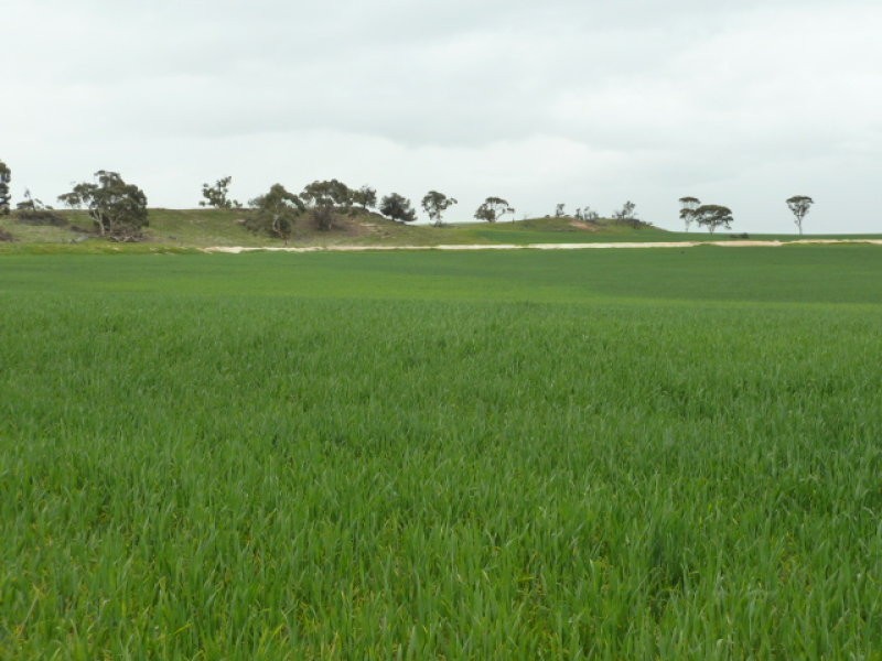 Lot 7875 Kokeby East Road, Beverley WA 6304