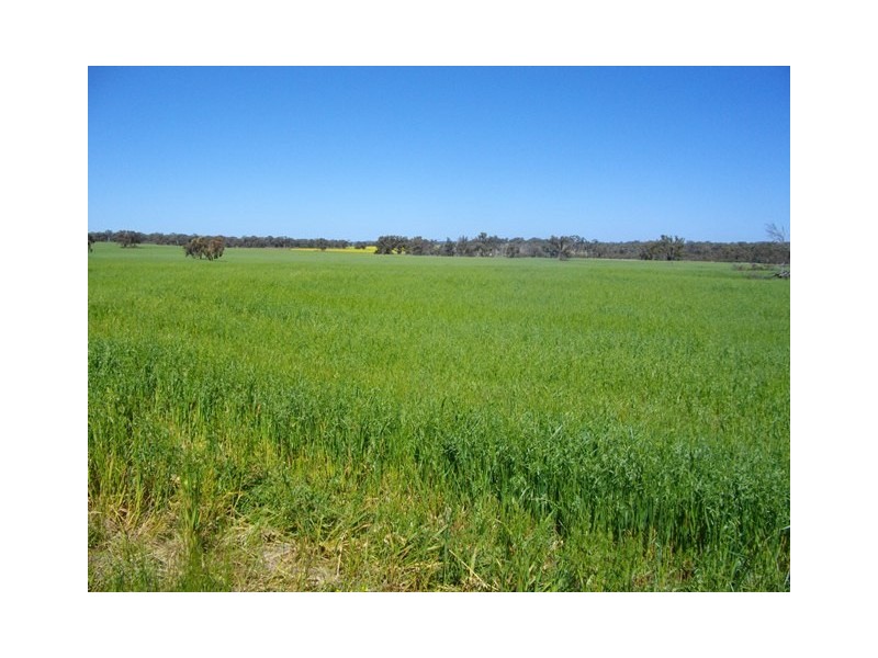 Lot 17865 and Lot 12242, Brookton WA 6306