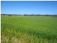 Lot 17865 and Lot 12242, Brookton WA 6306
