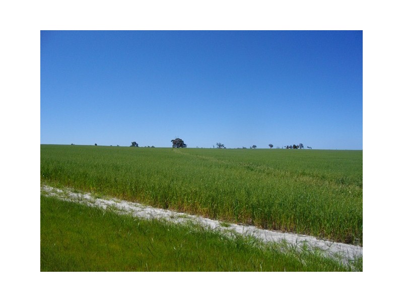 Lot 17865 and Lot 12242, Brookton WA 6306