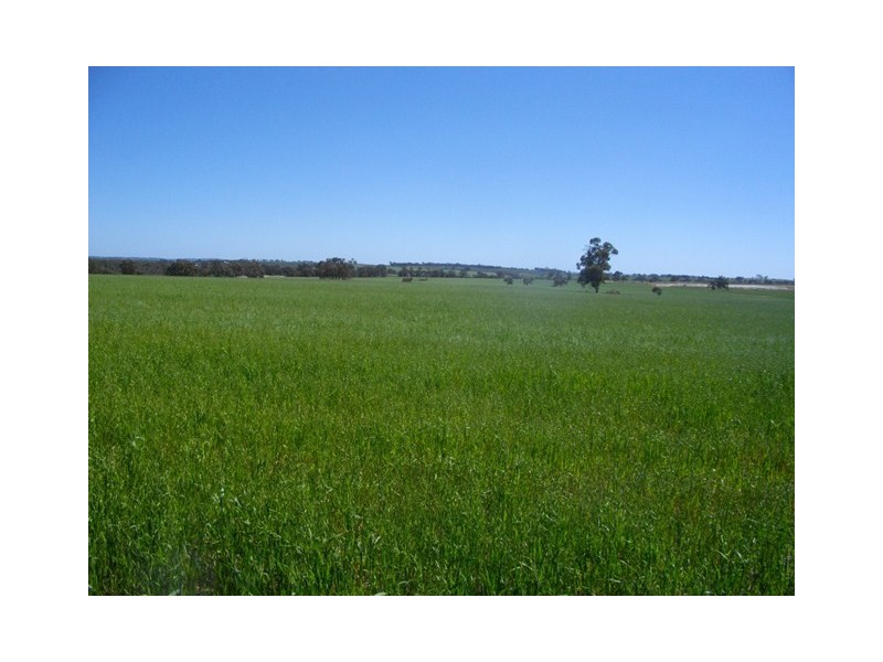 “Smiths Lake” Lot 1 White Road, Brookton WA 6306