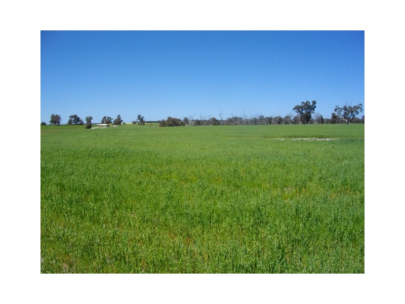 “Smiths Lake” Lot 1 White Road, Brookton WA 6306