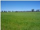 Lot 1 White Road, Brookton WA 6306