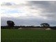 ‘Darjeeling’ 1126 Gleeson Road, Ongerup WA 6336