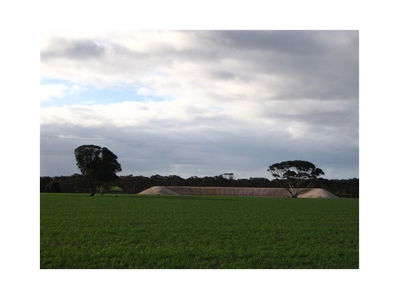 ‘Darjeeling’ 1126 Gleeson Road, Ongerup WA 6336