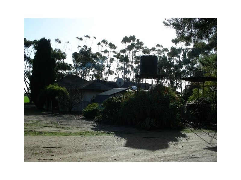 ‘Darjeeling’ 1126 Gleeson Road, Ongerup WA 6336