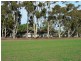 ‘Darjeeling’ 1126 Gleeson Road, Ongerup WA 6336