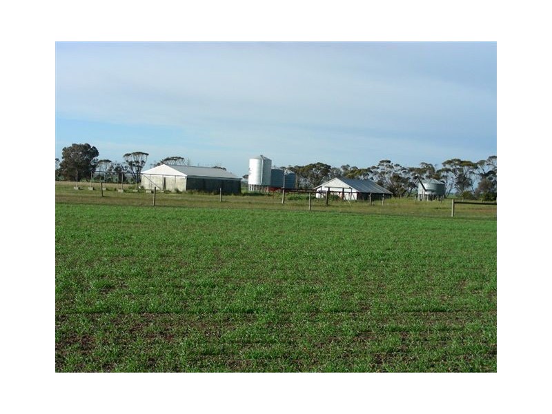 ‘Darjeeling’ 1126 Gleeson Road, Ongerup WA 6336