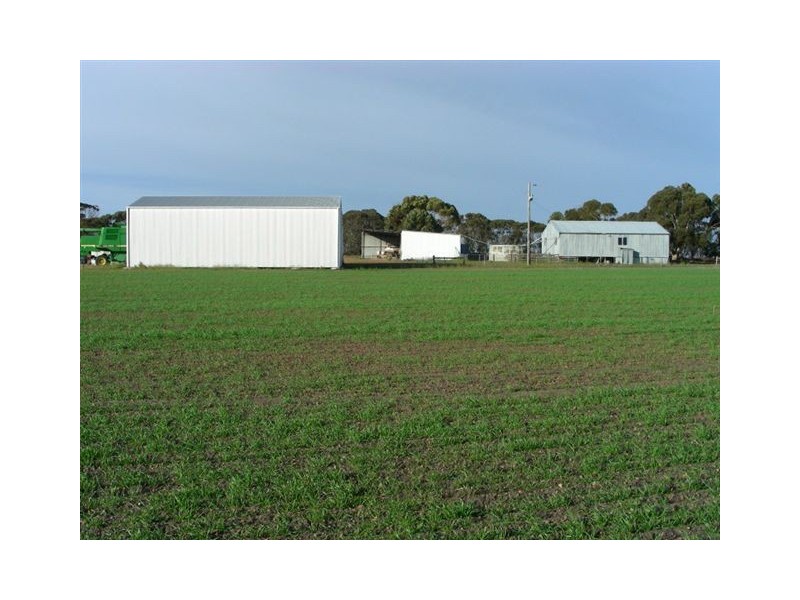 ‘Darjeeling’ 1126 Gleeson Road, Ongerup WA 6336