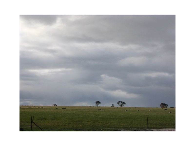 ‘Darjeeling’ 1126 Gleeson Road, Ongerup WA 6336
