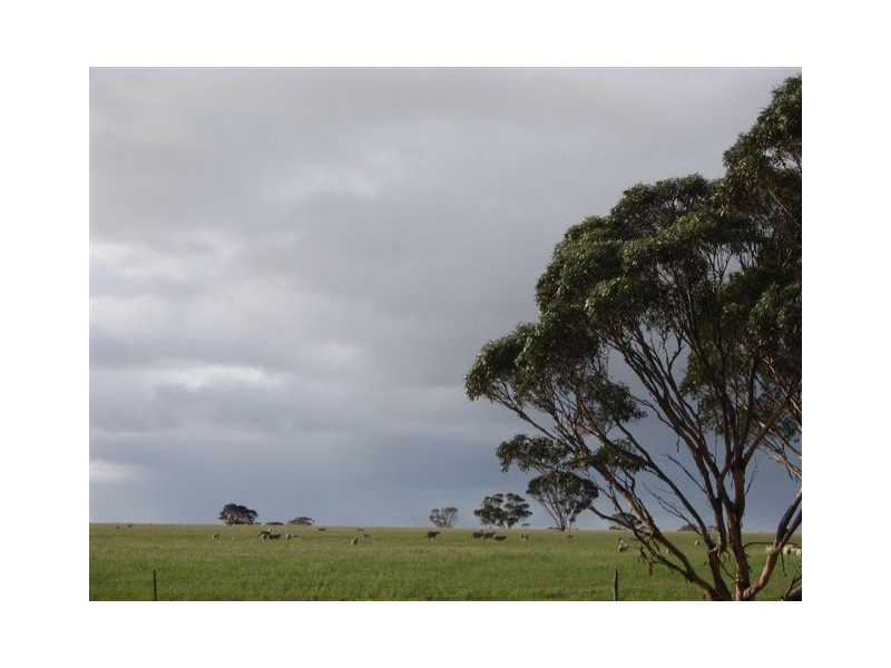 ‘Darjeeling’ 1126 Gleeson Road, Ongerup WA 6336