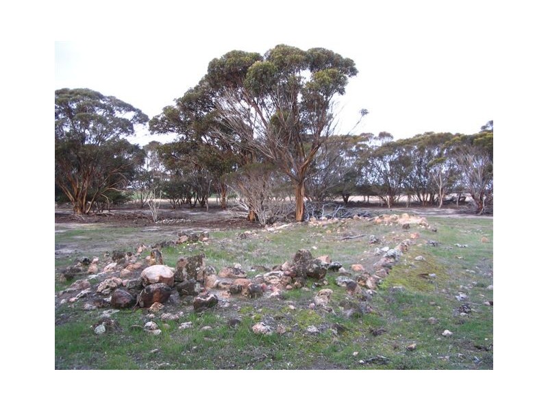 ‘Darjeeling’ 1126 Gleeson Road, Ongerup WA 6336