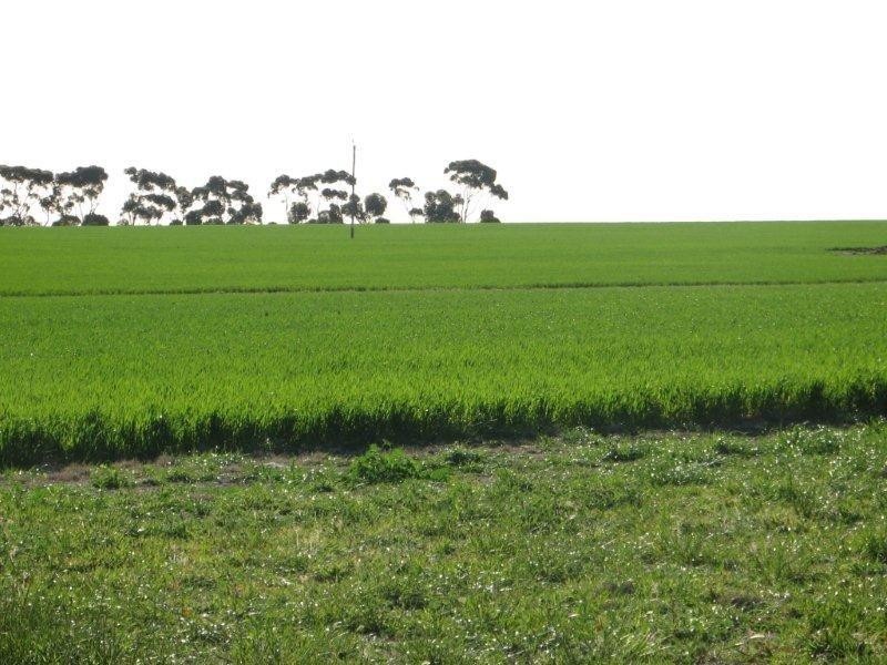 ‘Barren View’ South Jacup Road, Jacup WA 6337