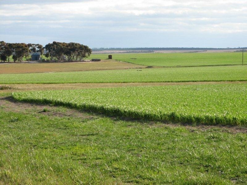 ‘Barren View’ South Jacup Road, Jacup WA 6337