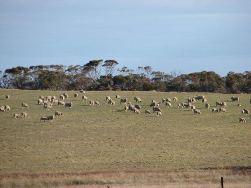 ‘Barren View’ South Jacup Road, Jacup WA 6337