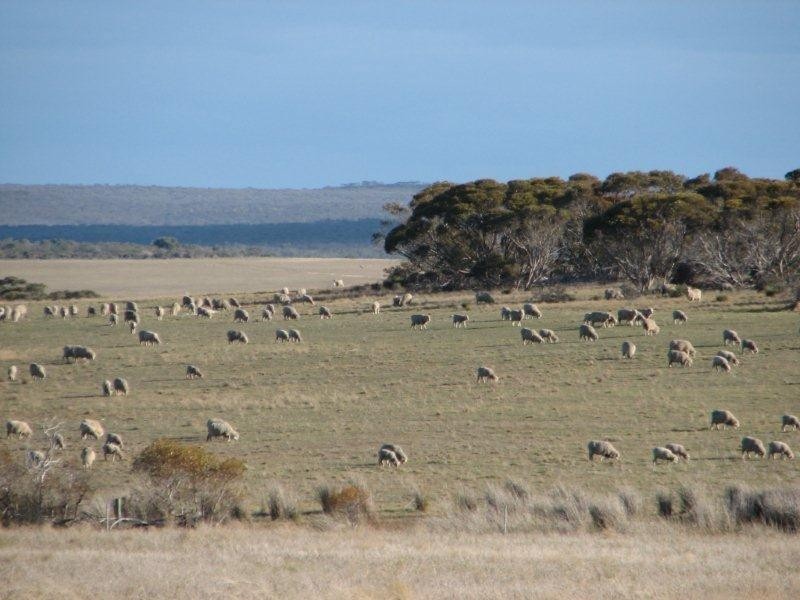 ‘Barren View’ South Jacup Road, Jacup WA 6337