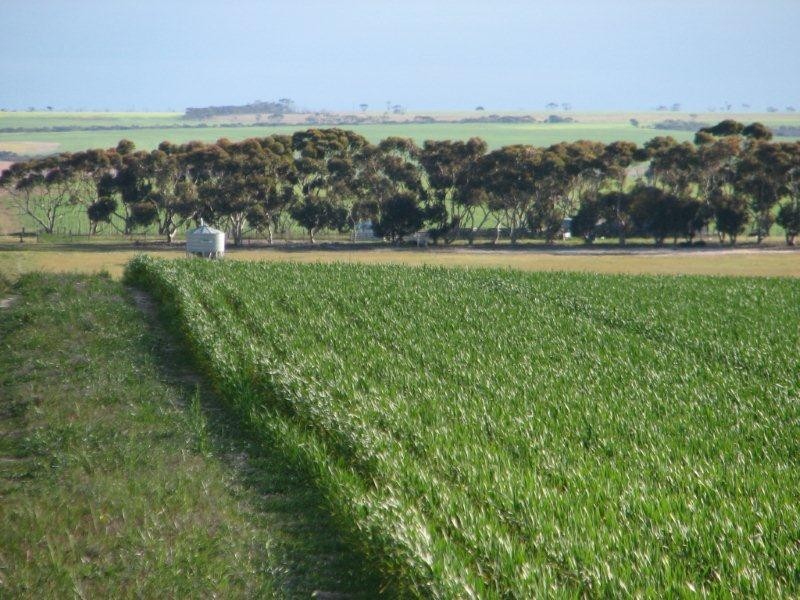 ‘Barren View’ South Jacup Road, Jacup WA 6337