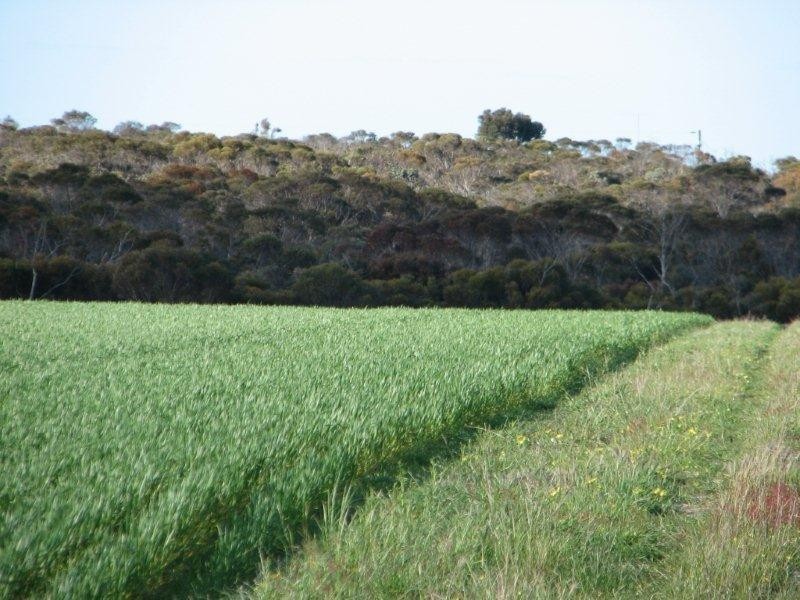 ‘Barren View’ South Jacup Road, Jacup WA 6337