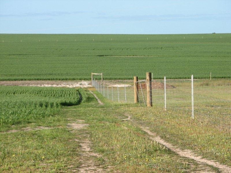 ‘Barren View’ South Jacup Road, Jacup WA 6337