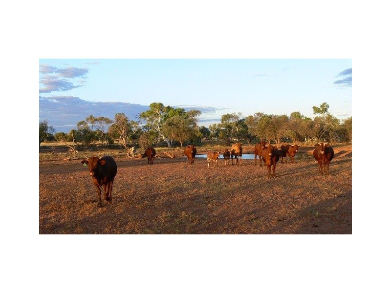 ‘Eudamullah Station’, Carnarvon WA 6701