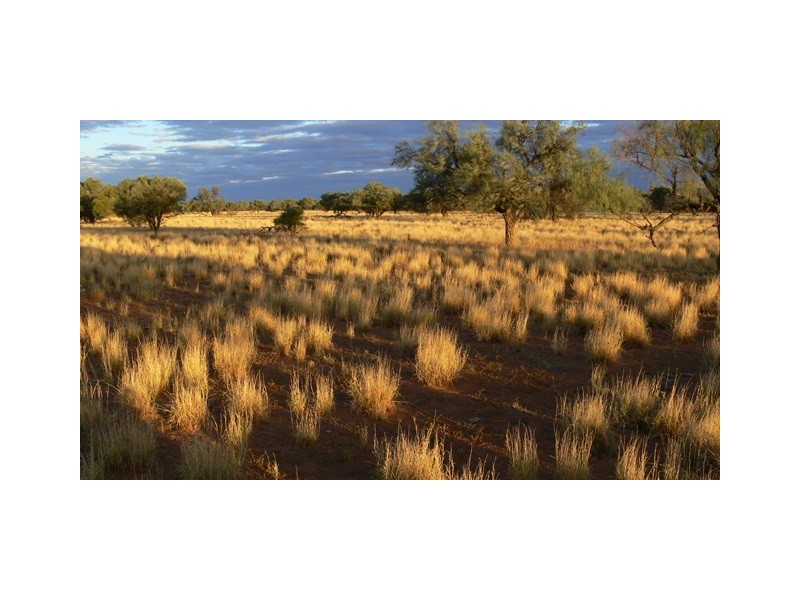 ‘Eudamullah Station’, Carnarvon WA 6701