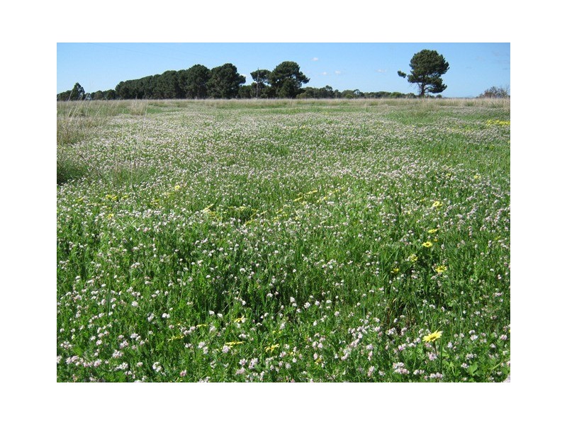 ‘Grandview’ Lot 633 Blumanns Road, Gibson WA 6448