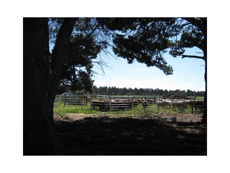 ‘Grandview’ Lot 633 Blumanns Road, Gibson WA 6448