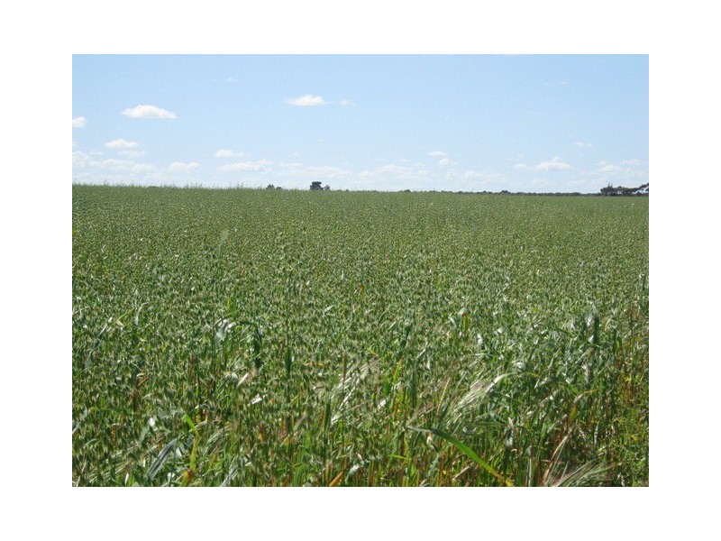 ‘Grandview’ Lot 633 Blumanns Road, Gibson WA 6448