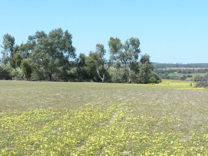 Lot 202 Maitland Road, Beverley WA 6304