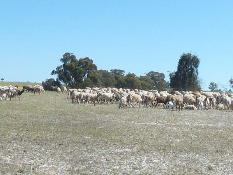 Lot 202 Maitland Road, Beverley WA 6304