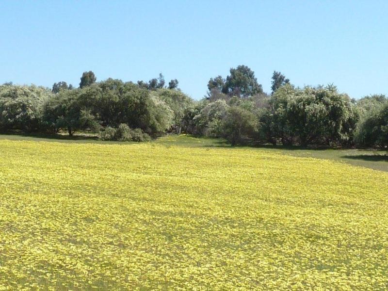 Lot 202 Maitland Road, Beverley WA 6304