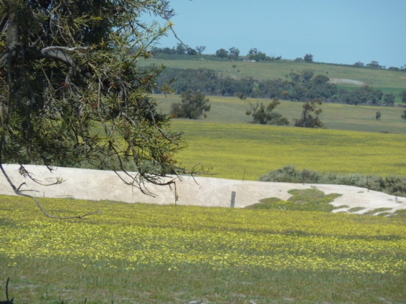 Lot 202 Maitland Road, Beverley WA 6304