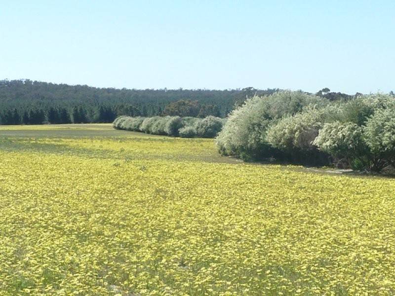 Lot 202 Maitland Road, Beverley WA 6304