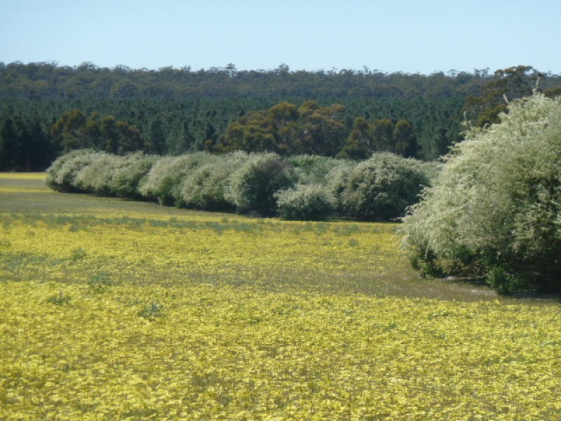 Lot 202 Maitland Road, Beverley WA 6304