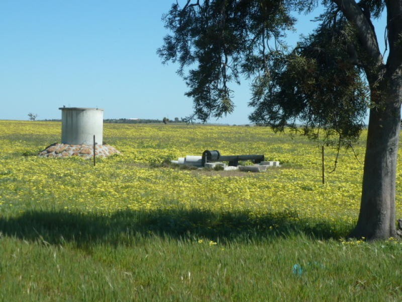 Lot 202 Maitland Road, Beverley WA 6304