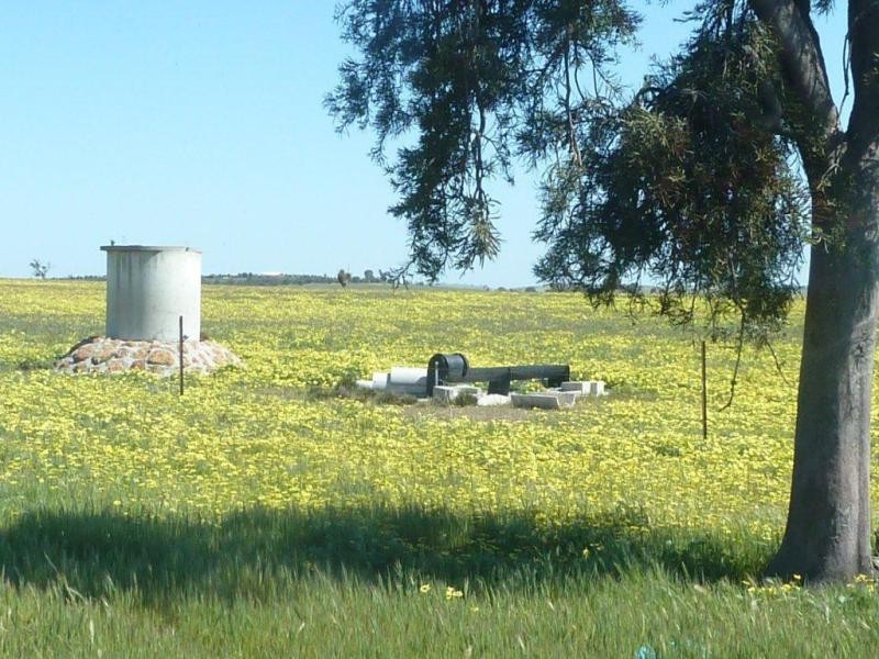 Lot 202 Maitland Road, Beverley WA 6304