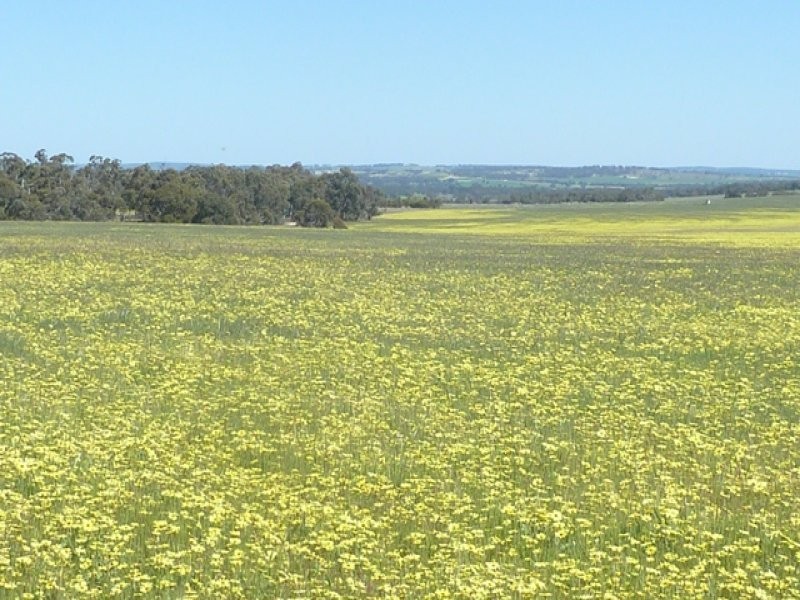 Lot 202 Maitland Road, Beverley WA 6304