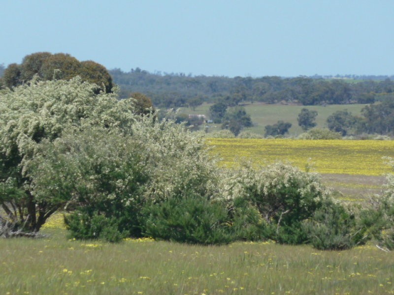 Lot 202 Maitland Road, Beverley WA 6304