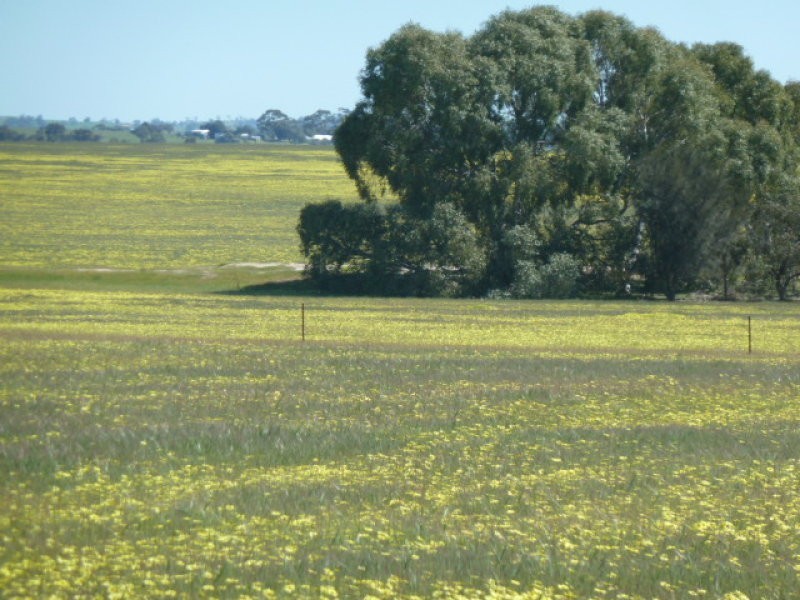 Lot 202 Maitland Road, Beverley WA 6304