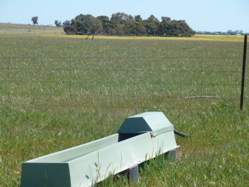 Lot 202 Maitland Road, Beverley WA 6304