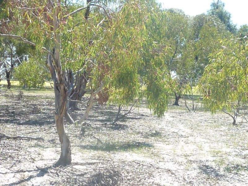 Lot 202 Maitland Road, Beverley WA 6304