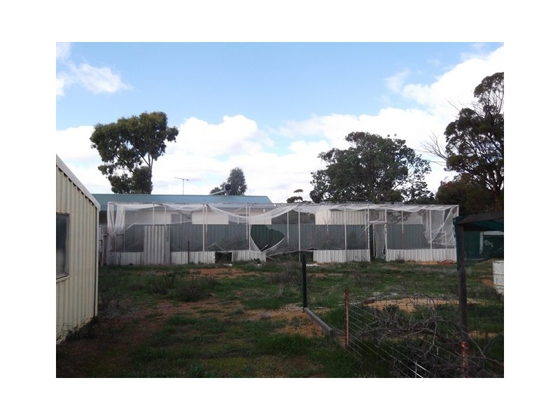 Lots 35 and 36 Coronation Street, Trayning WA 6488