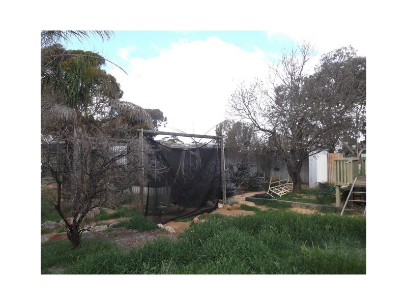 Lots 35 and 36 Coronation Street, Trayning WA 6488