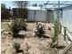 17 Ashton Street, Quairading WA 6383